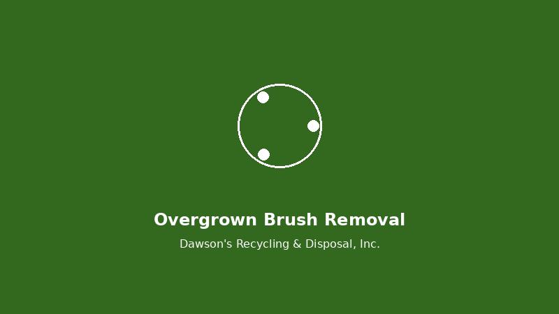 overgrown brush